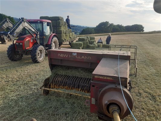Collecting hay bales on hot summer evening at Shaw Farm